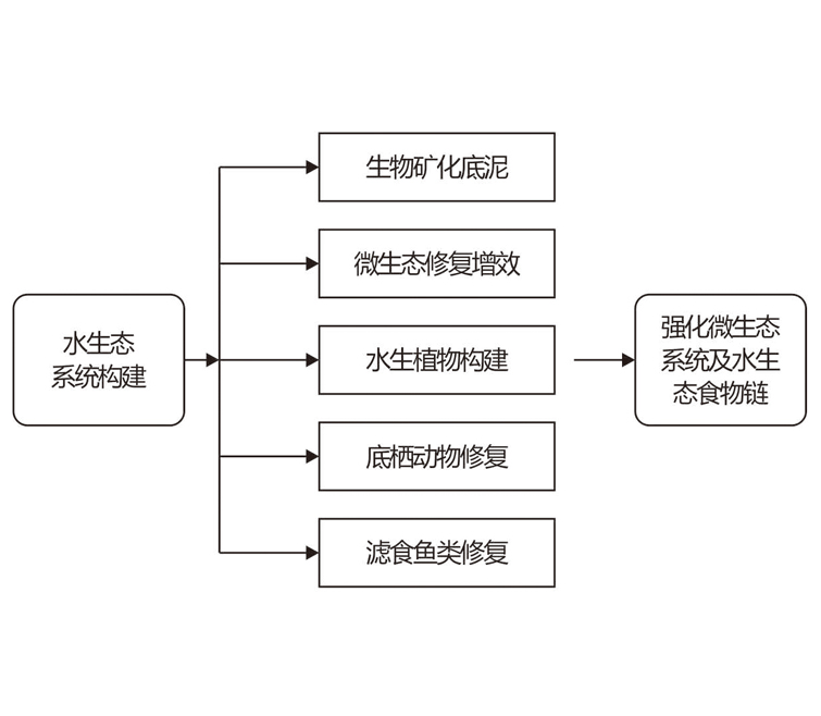 水環(huán)境的綜合整治